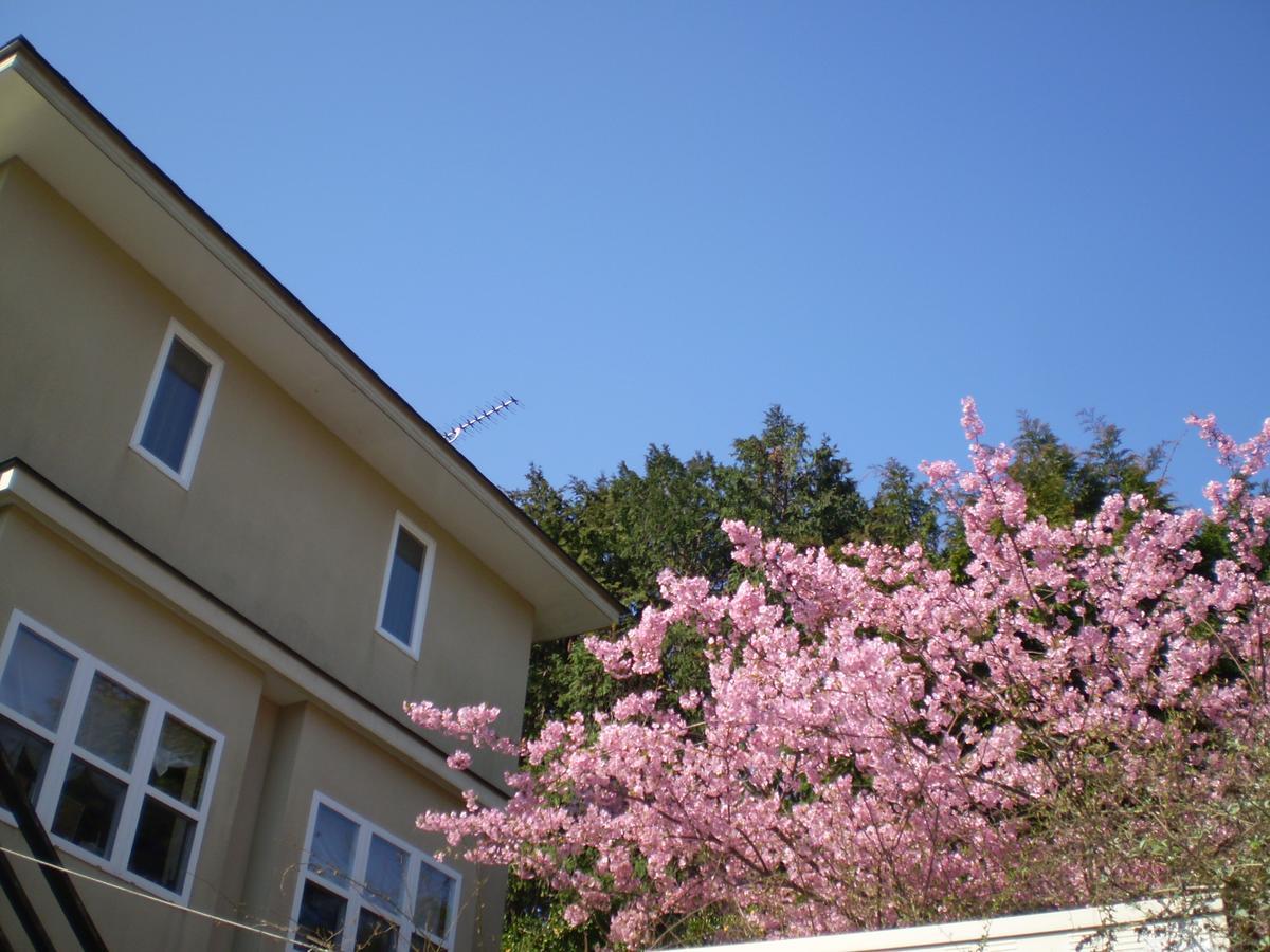 Chiisana Hotel Hanaikada Ito  Esterno foto